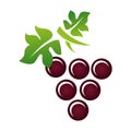 Delicious wine grape icon