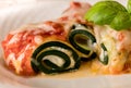 Delicious Zucchini Rollups filled with ricotta cheese and topped with fresh tomato marin Royalty Free Stock Photo