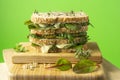 Delicius bio vegetarian sandwich with big variety sprout luminous Royalty Free Stock Photo