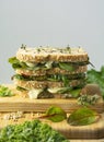 Delicius bio vegetarian sandwich with wholegrain bread. Royalty Free Stock Photo