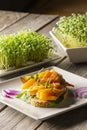 Delicius salmon toast with purpple onion and fresh sproutes. Royalty Free Stock Photo