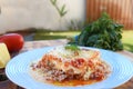 lasagna white and bolognese sauce with parmesan cheese, pasta, tomato, basil, herbs, delicious food from Italian and French