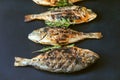 Delicous grilled fish: bream with rosemary and spices.