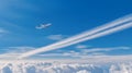 Graceful Flight: An airplane gracefully gliding through the vast sky