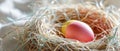 The Delight of Easter: A Colorful Egg Nested in Straw -