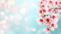 Delight in pink cherry blossoms blooming against a soft, blurred backdrop, capturing the essence of springtime beauty Royalty Free Stock Photo