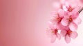 Delight in pink cherry blossoms blooming against a soft, blurred backdrop, capturing the essence of springtime beauty Royalty Free Stock Photo