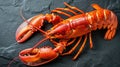 Delight in the seafood elegance with a close-up of a large red boiled lobster on slate, Ai Generated Royalty Free Stock Photo