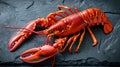 Delight in the seafood elegance with a close-up of a large red boiled lobster on slate, Ai Generated Royalty Free Stock Photo