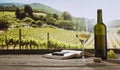 Delight. Still life with wine glasses, bottles, grapes on wooden table in wine cellar. Panoramic window view of lush Royalty Free Stock Photo