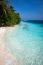Delightful beaches in the Maldives Royalty Free Stock Photo
