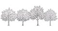 Charming Apple Orchard Illustration in Simple Black and White Style Royalty Free Stock Photo