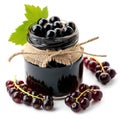 Delightful blackcurrant jam marmalade jelly preserves in a glass jar, paired with fresh blackcurrants, displayed on a clean white Royalty Free Stock Photo