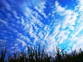 A delightful close up of an unexampled view of an extreme pattern of white clouds in dark blue sky Royalty Free Stock Photo