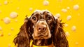 A delightful cocker spaniel enjoys a refreshing bath with soap bubbles Royalty Free Stock Photo