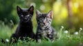 Whiskered Whimsy, A Serene Moment Captured of Two Delightful Kittens Nestled in a Verdant Meadow