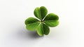 Green Four Leaf Clover on white background, St Patricks Day