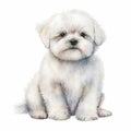 A Delightful Portrait of a Maltese Puppy in Watercolor - Perfect for Animal Lovers and Art Enthusiasts AI Generated