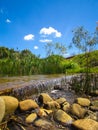 Slow stream of water pond surrounded by lush water vegetation and small rocks