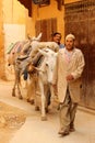 Delivering goods on a donkey Royalty Free Stock Photo