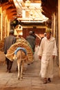 Delivering goods in the medina Royalty Free Stock Photo