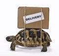 The slow delivery box on turtle.