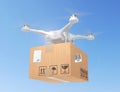 Delivery. Flying drone. 3d illustration