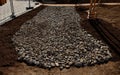 delivery of gray river pebbles like mulch to flower beds in the Royalty Free Stock Photo