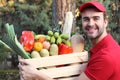 Delivery guy holding box with groceries Royalty Free Stock Photo