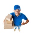 delivery man Funny courier with boxes looking at camera Royalty Free Stock Photo