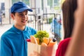 Delivery man making grocery giving fresh food to woman customer