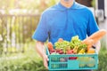 Delivery man wearing face mask protect he delivering fresh food vegetable in plastic box