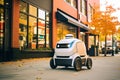 Delivery robot, autonomous delivery vehicle