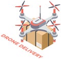 Delivery service delivers parcel using flying copter. Future technologies of online transfer of goods Royalty Free Stock Photo