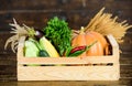 Delivery service fresh vegetables from farm. Box or basket harvest vegetables wooden background. Excellent quality Royalty Free Stock Photo