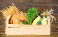 Delivery service fresh vegetables from farm. Box or basket harvest vegetables wooden background. Excellent quality Royalty Free Stock Photo