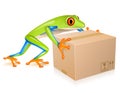 Delivery tree frog