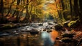 Stunning Dell Autumn Splendor Captured With Canon Eos-1d X Mark Iii