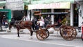 Delman or Andong is Indonesian traditional transportation, a horse-drawn carriage on the