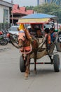 This delman is an Indonesian public transportation designation, horse-drawn horse