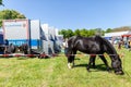 German police horse grazing on a fenced off area