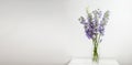 Delphinium Flower, lilac, purple flower in a vase, horizontal, side view, background