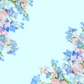Delphinium Wild Flower Abstract Summer Background