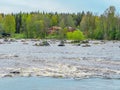 Delta of Dalalven river in southern norrland. Spring in Sweden. Scandinavia Royalty Free Stock Photo