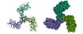 Crystal structure of Bacillus thuringiensis Cry5B nematocidal toxin