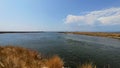 Delta Evros National Park, Evros Thraki Royalty Free Stock Photo