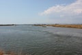 Delta Evros National Park, Evros Thraki Royalty Free Stock Photo