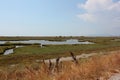 Delta Evros National Park, Evros Thraki Royalty Free Stock Photo