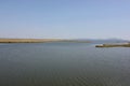Delta Evros National Park, Evros Thraki Royalty Free Stock Photo