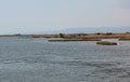 Delta Evros National Park, Evros Thraki Royalty Free Stock Photo